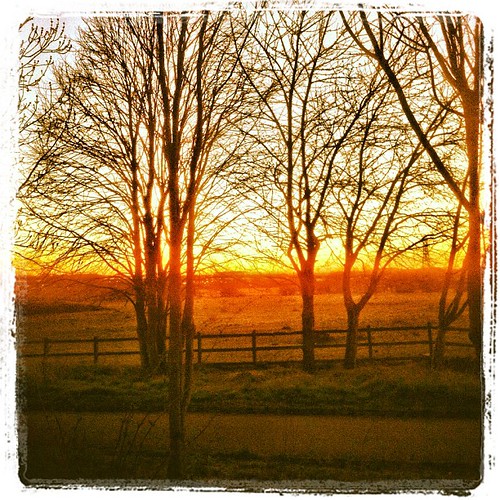 Beautiful leicester sunset. Alex Gibson Flickr