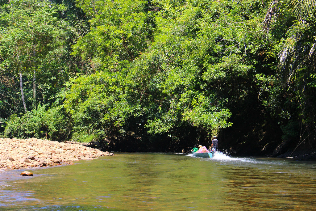 Ulu Temburong National Park, Brunei Darussalam July 2016