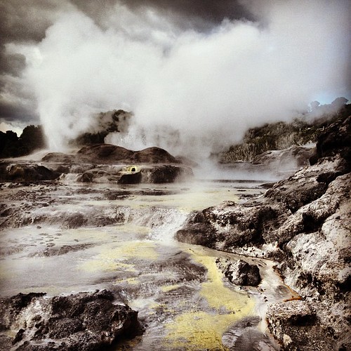 Rotorua NewZealand Ant Stone Flickr