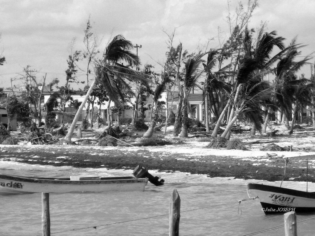 Mexico Hurricane damaging Islas Mujeres 2005 Julie JOSEPH Flickr