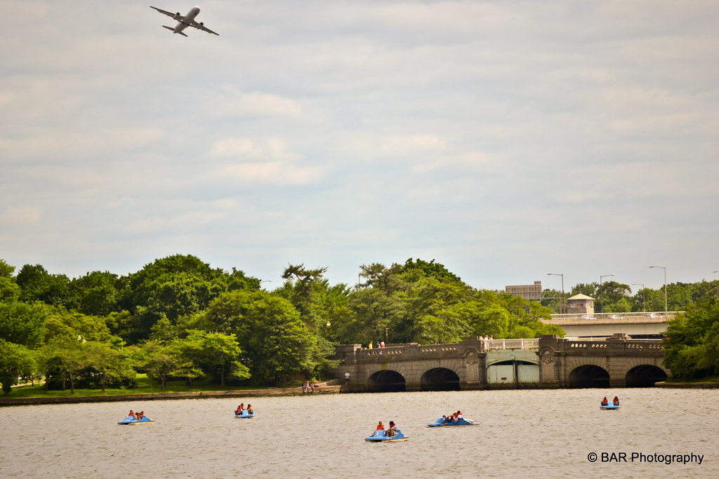 Paddle Boats on the Tidal Basin Shore of the Potomac River… Flickr