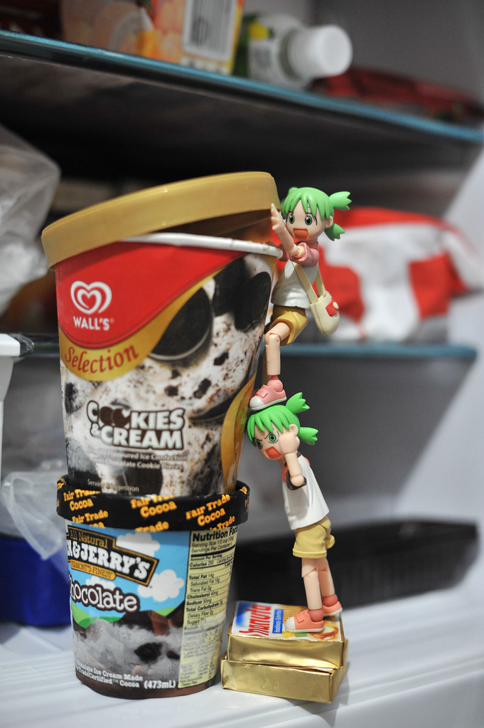 DSC_2111a small 86/366 The "Fridge Raiders" chris_chia Flickr