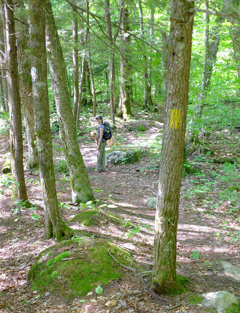 Flat Mountain Pond25 Kate Lockhart Flickr