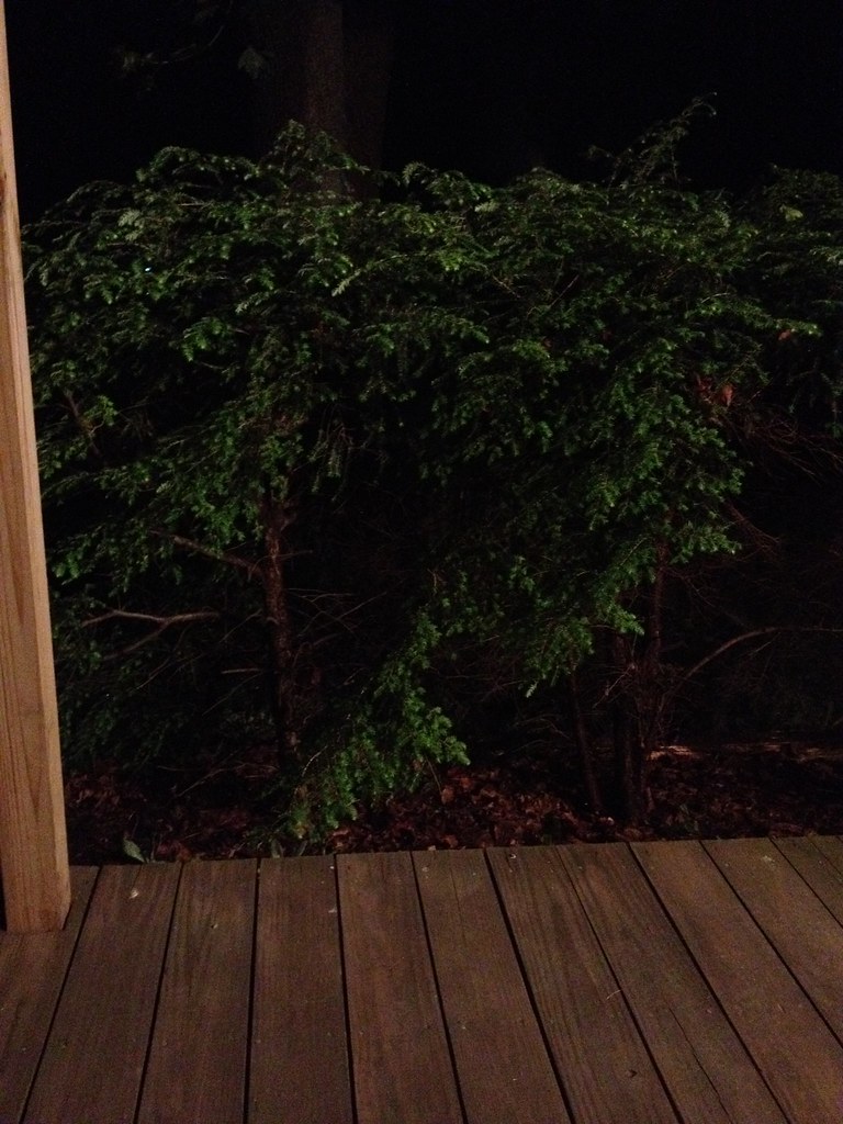 Elevation of Deer Creek Rd, Morrisdale, PA, USA Topographic Map