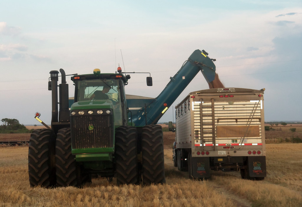Oak loads one of our last truck loads in Olney All Aboard Wheat