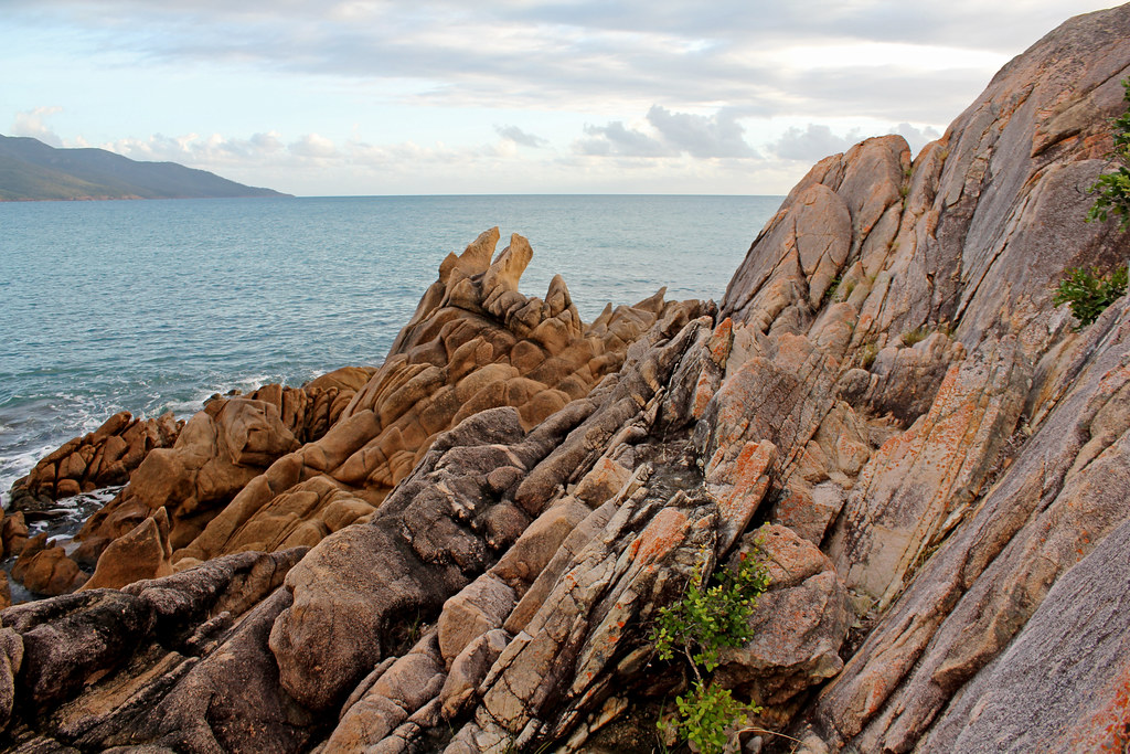 Dingo Beach island We took a walk first thing in the morni… Flickr