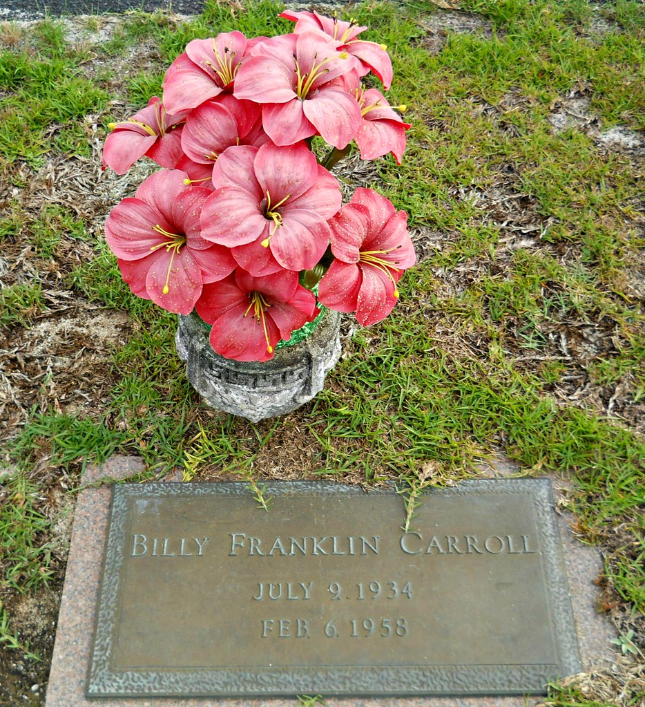 157/366 Billy Franklin Carroll Roberta City Cemetery, Cra… Flickr