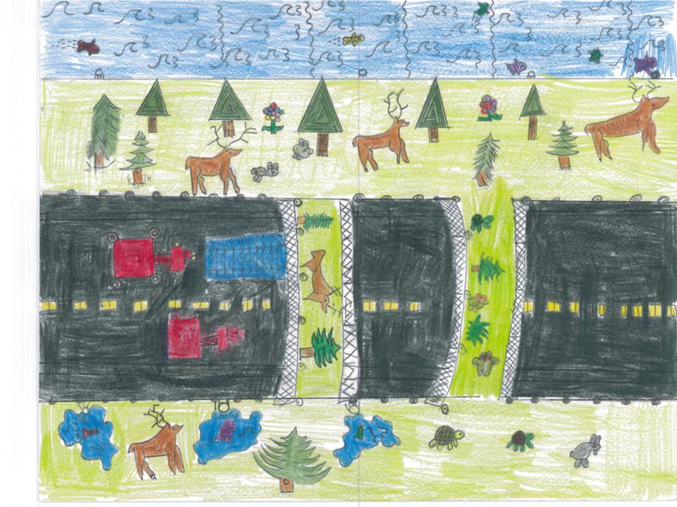 Joshua_Gonzalez_Voyvodich_Cedarhurst_Elementary Joshua Gon… Flickr