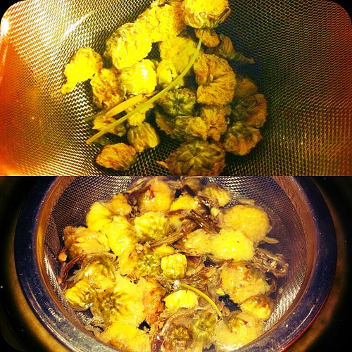 Chrysanthemum tea cha sip heal allergy goodfortheey… Flickr