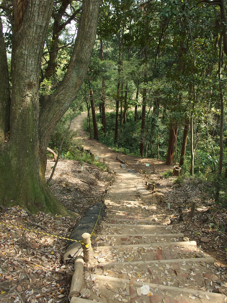 Daibutsu Hiking Trail Kamakura Guilhem Vellut Flickr