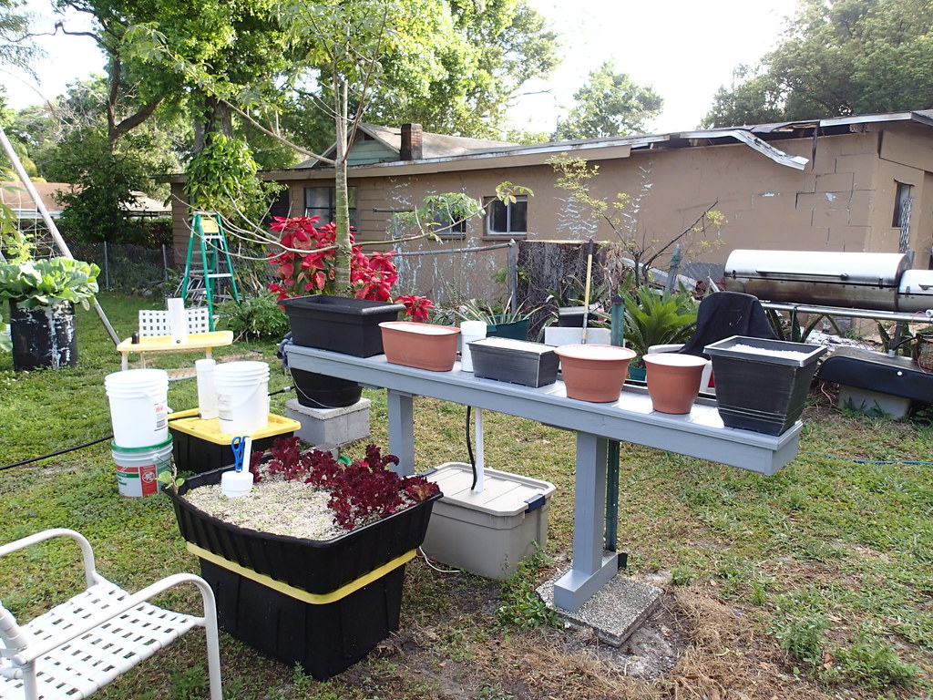 my two newest drainbacks Square foot hydroponic gardens ar… Flickr