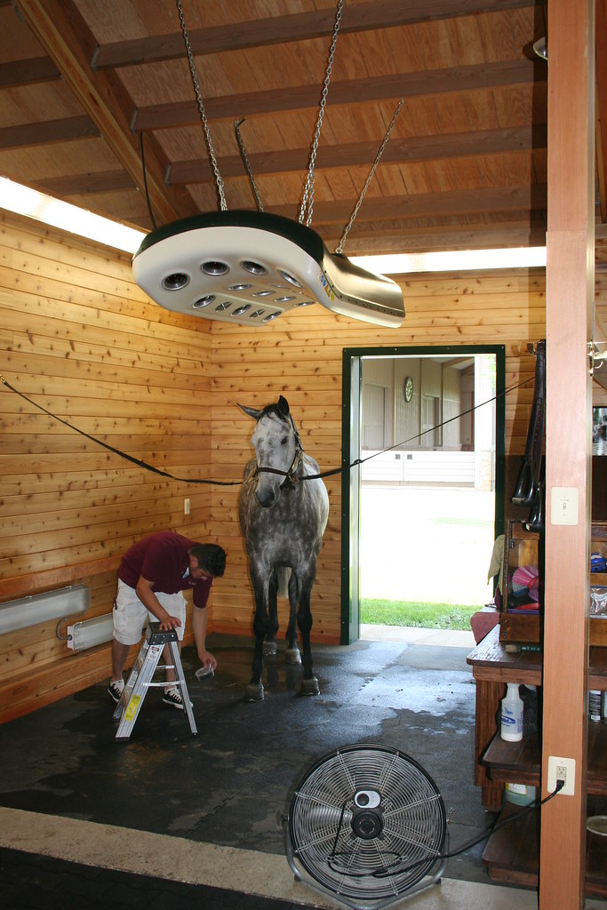 Getting braided At St. Brides Farm's newest and award winn… Flickr