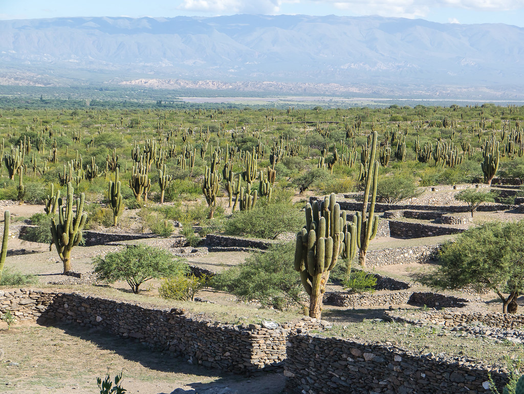 Archaeological site of the Quilmas Indians Quilmas Catam… Flickr