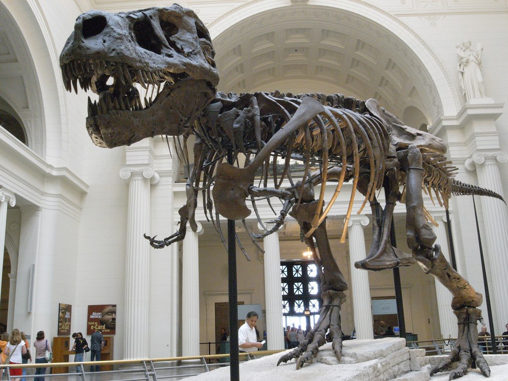 フィールド自然史博物館 Field Museum of Natural History 1990年8月にサウス