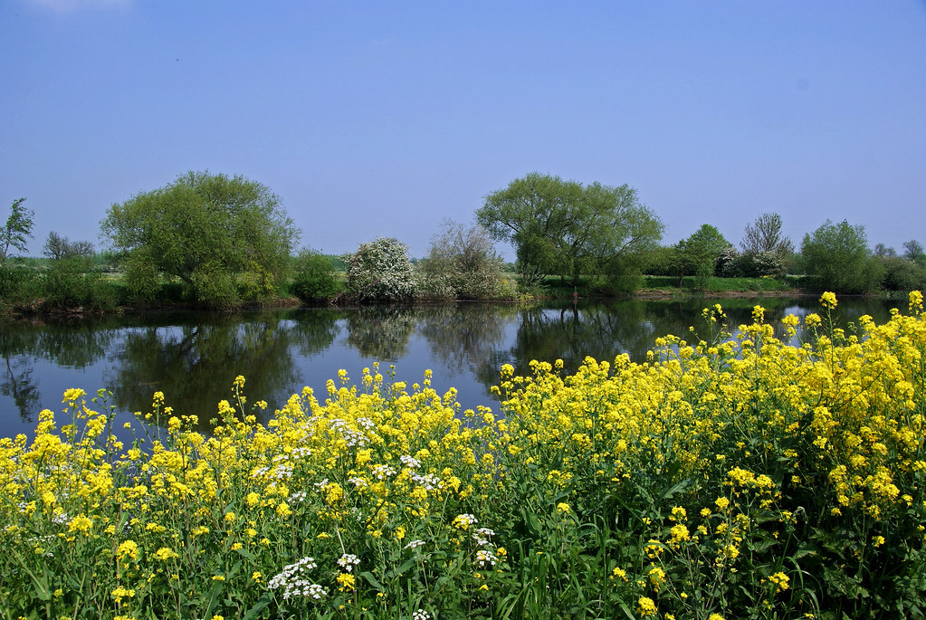 Sawley Fields alan metheringham Flickr