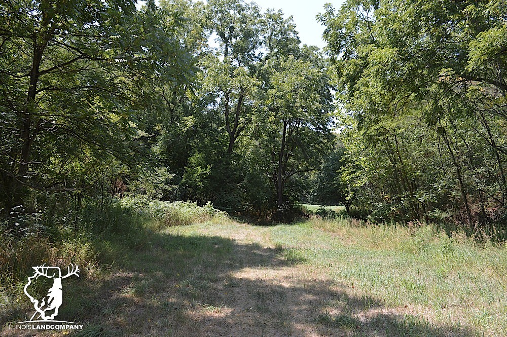 Illinois Land for Sale 40 Acres in Fulton County Flickr