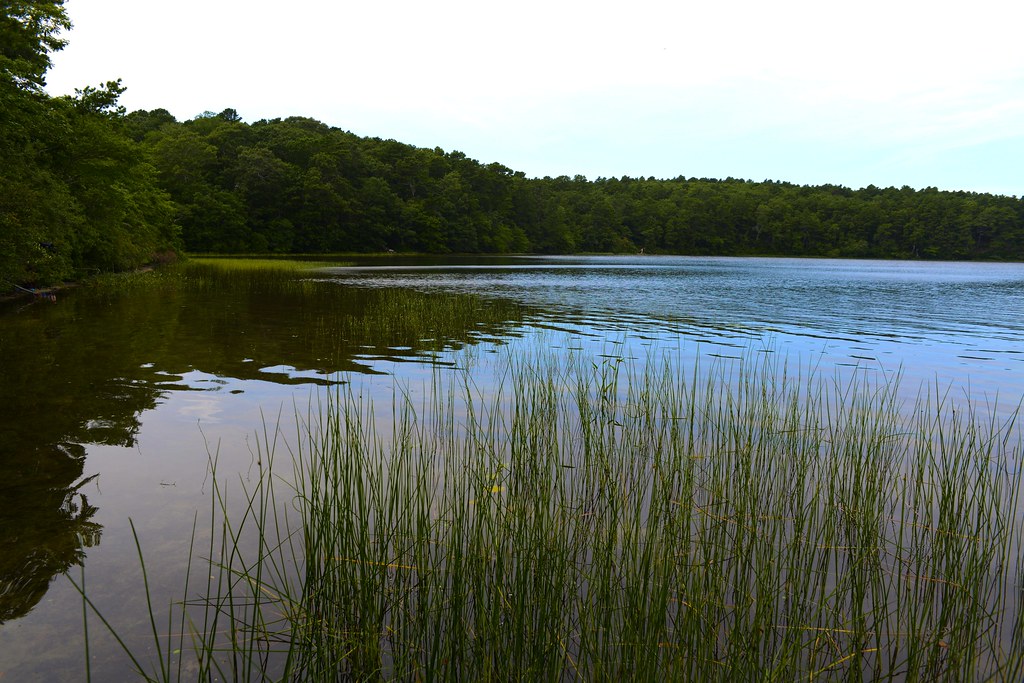 Slough Pond Freshwater pond near Wellfleet, Cape Cod. Nick… Flickr