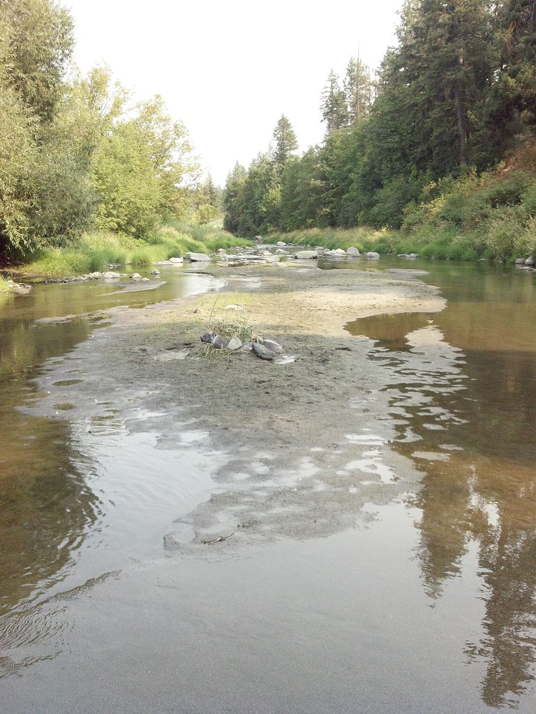Peaceful Latah creek near where it joins the Spokane river