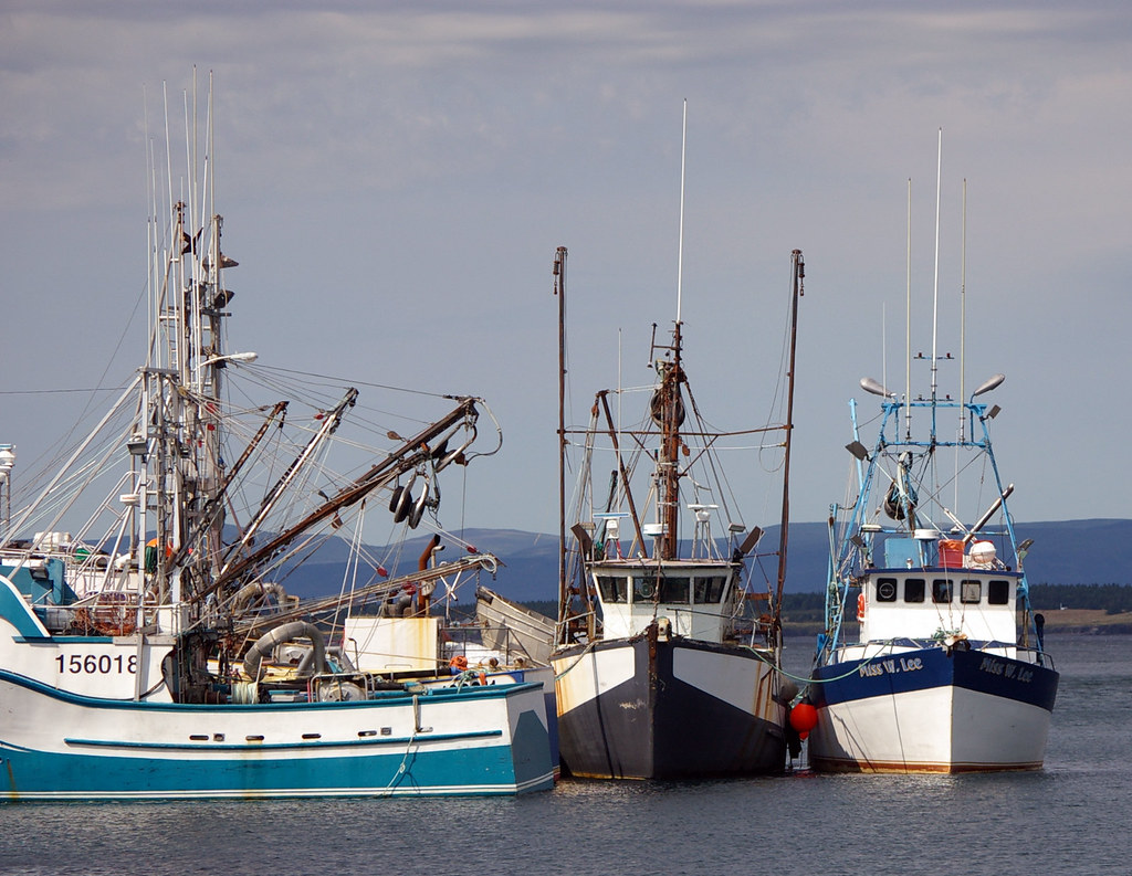 Corner Brook 48 Corner Brook (2006 population 20,083 CA 2… Flickr