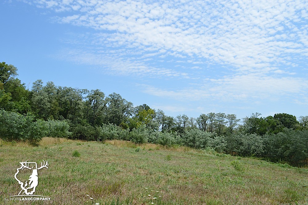 Illinois Land for Sale 40 Acres in Fulton County Flickr