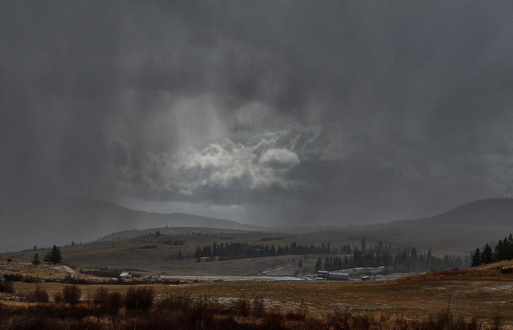 Riske Creek Ranching Ltd. Riske Creek Ranching Ltd. own mu… Flickr