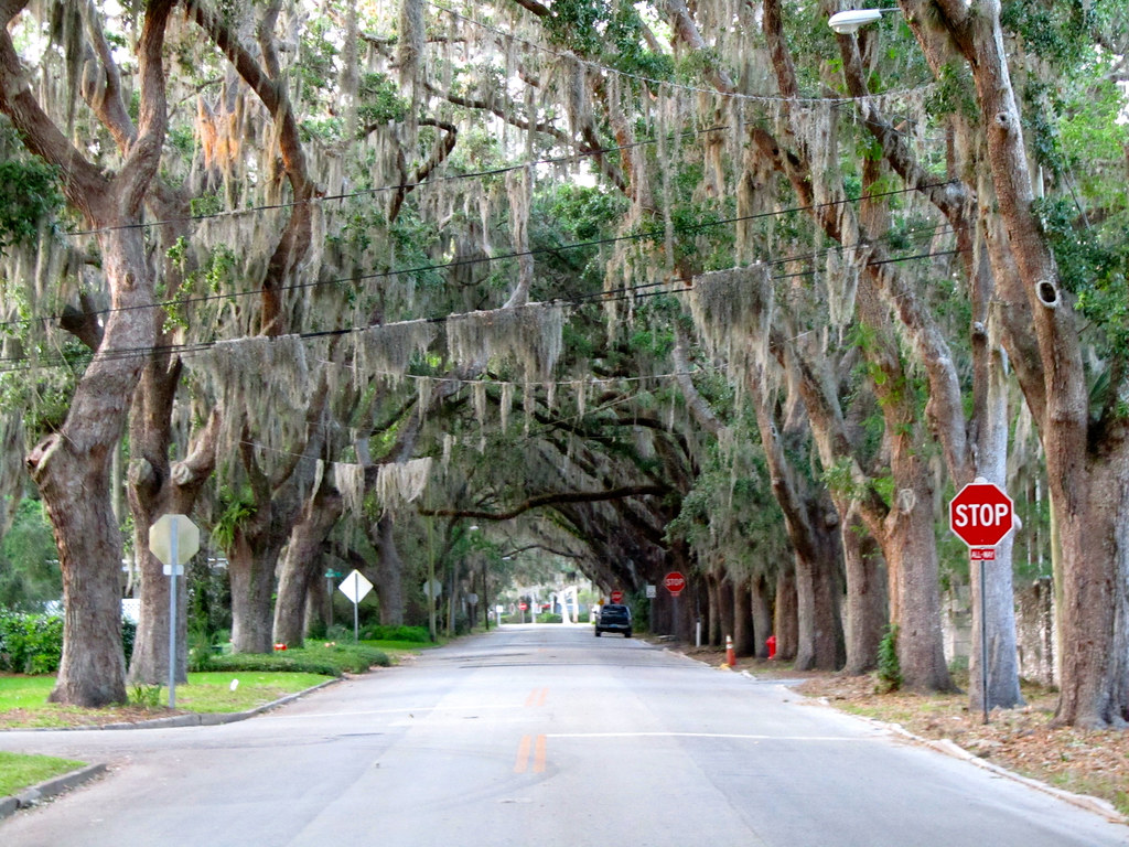 Magnolia Ave. St. Augustine, FL Jon Dawson Flickr