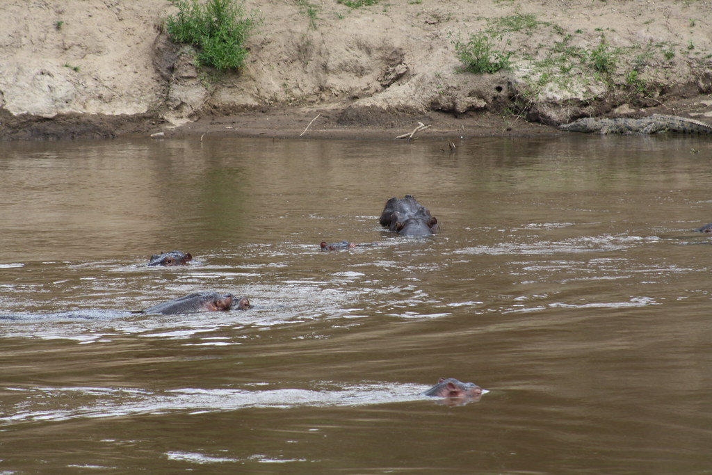 Discover The Magnesium Breakthrough For A Healthy Pregnancy What You