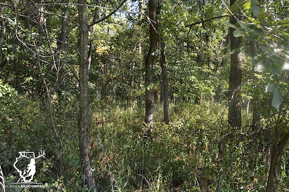 Remax Fulton 75 Flickr