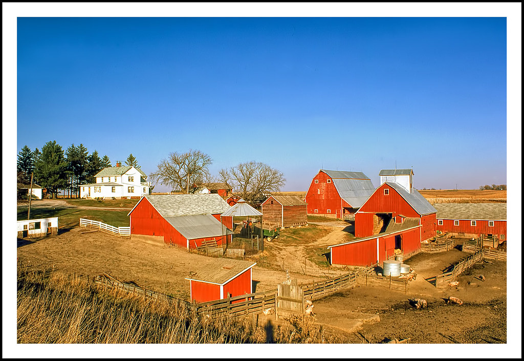 A BIG Barnes City, Iowa Farm 1974 I photographed this bi… Flickr