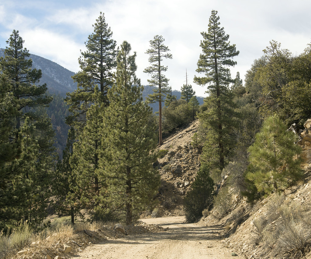 Coon Creek Cabin Recreational Area Photo Daniel Torok / … Flickr