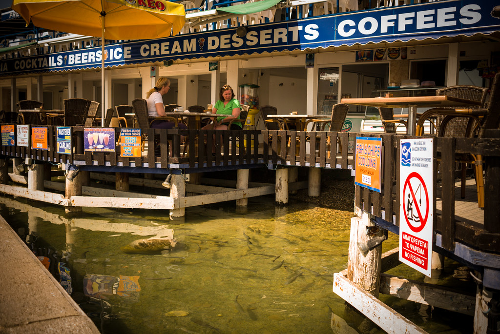 Fish pond cafe Nikolay Sitkarev Flickr