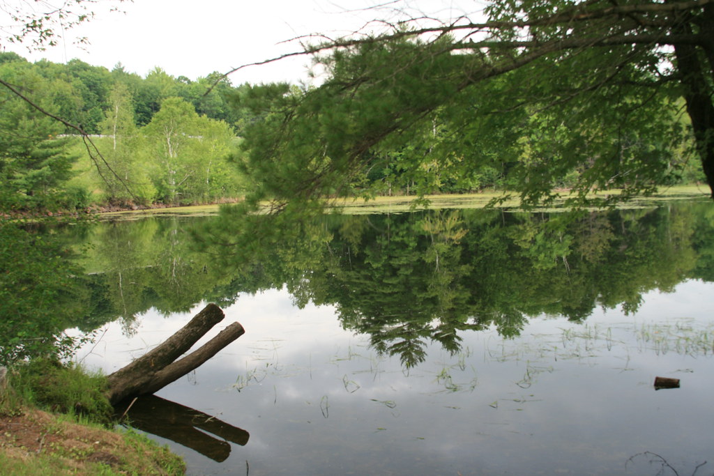 IMG_8878 Cobbossecontee Stream Liz Flickr