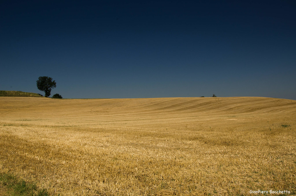 Una calda estate....... A hot summer........ Gianpiero Bacchetta Flickr