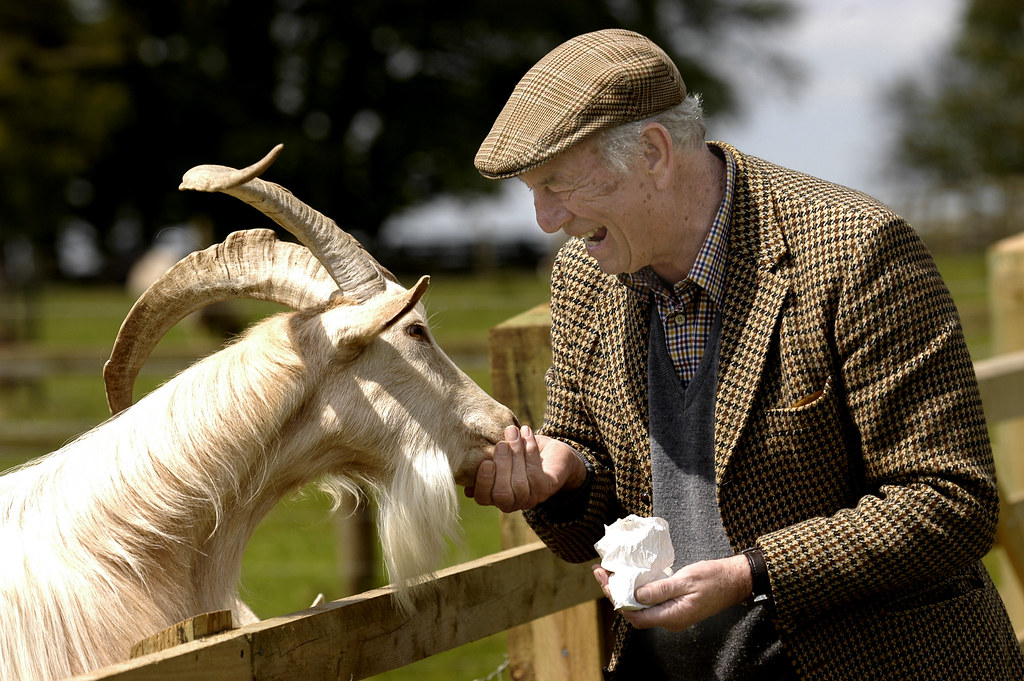 Joe Henson Cotswold Farm Park Flickr