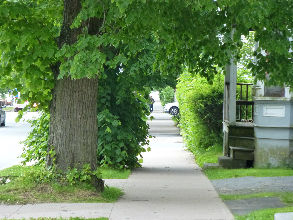 Robie Street sidewalk StephenPate Flickr