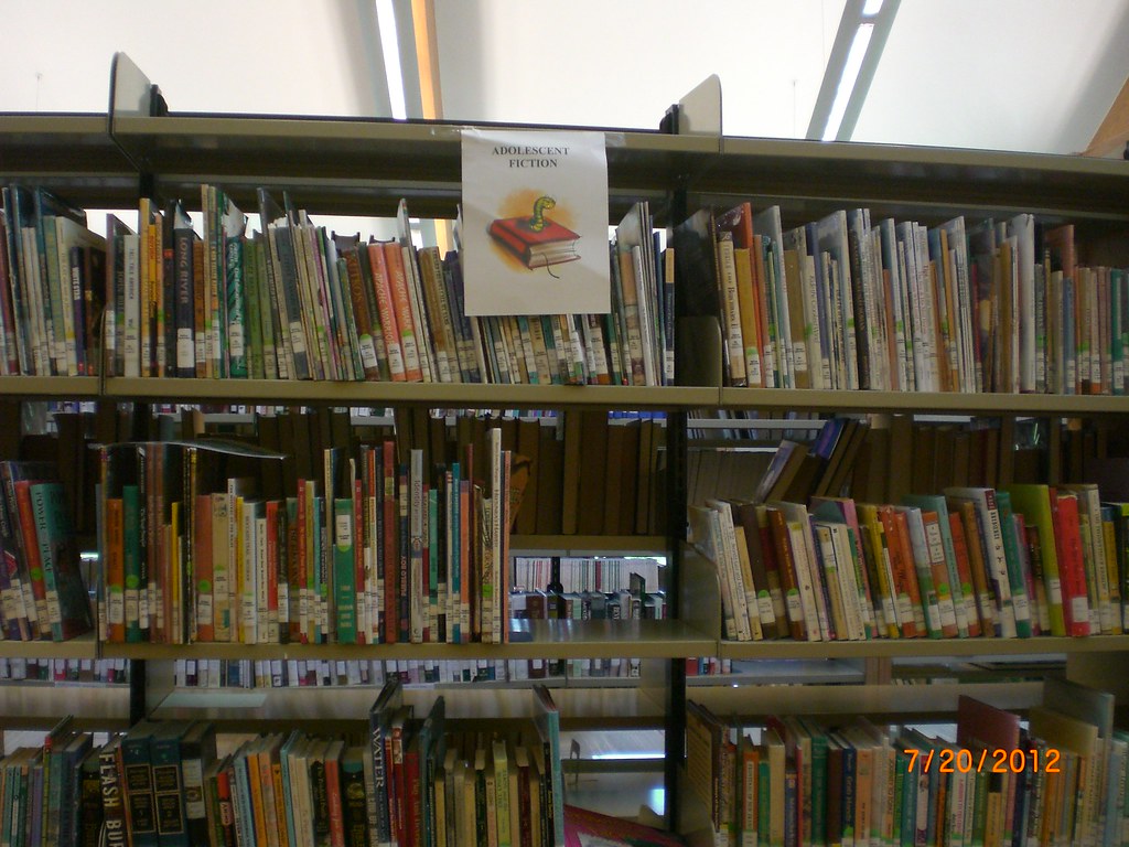 Sisseton Wahpeton Library 008 janeheitmanhealy Flickr