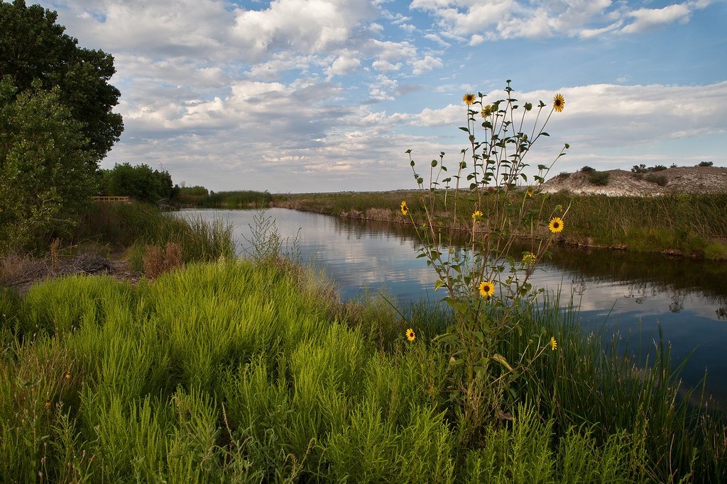 Black River Recreation Area Visit Carlsbad New Mexico
