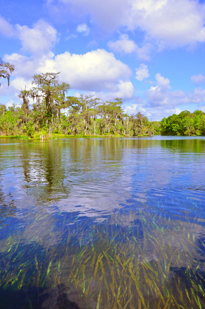 Wakulla Springs Vanessa Gifford Photography Vanessa Gifford