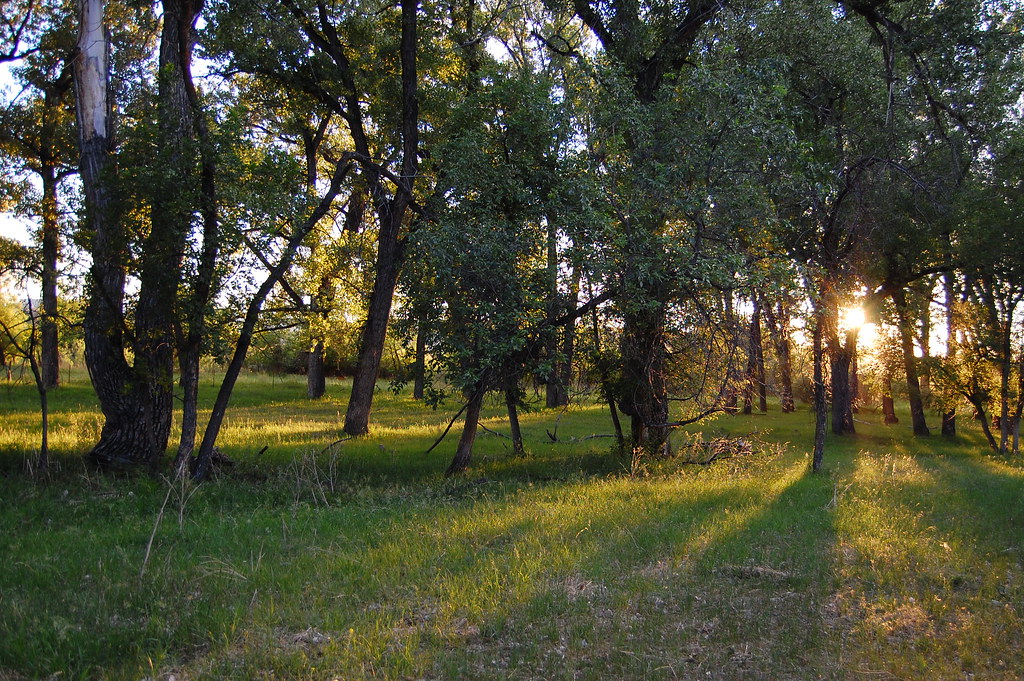 Ashland, Montana Janine DiLorenzo Flickr