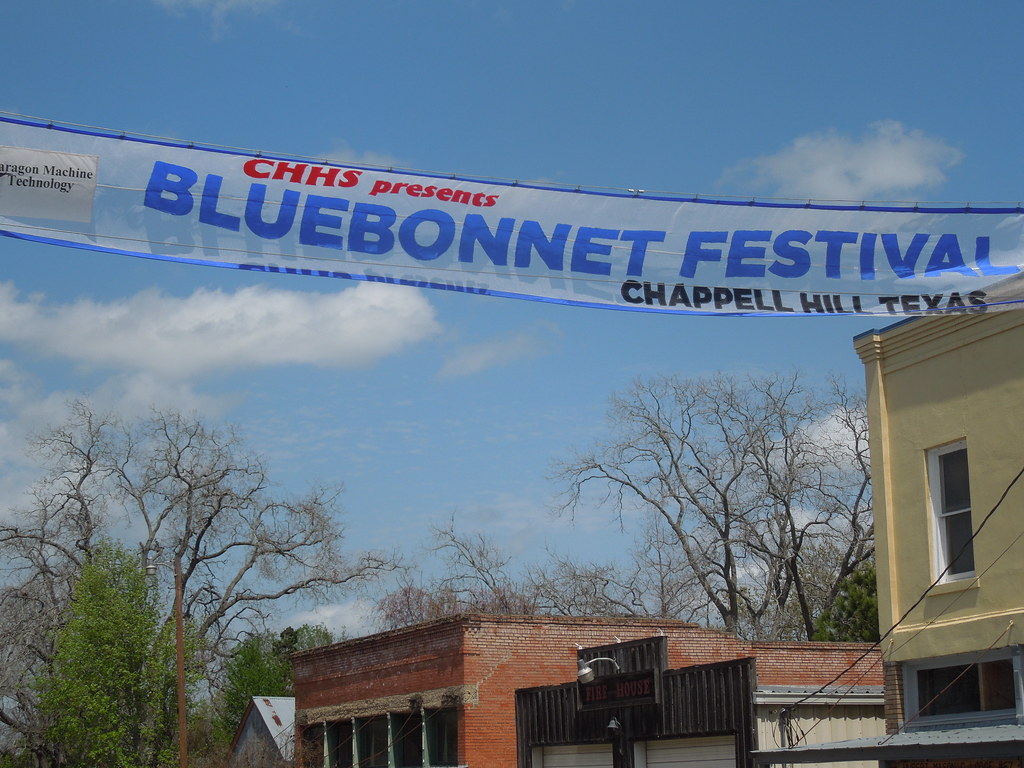 Bluebonnet Festivals in Texas to Visit 2023 msn.com