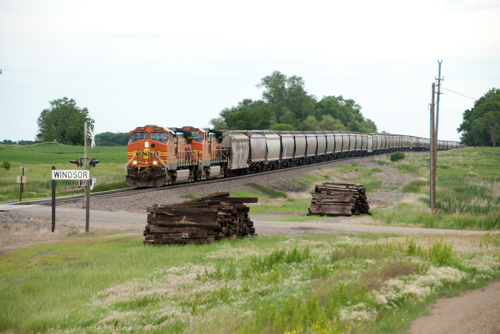 BNSF 5485 at Windsor Westbound Grain at Windsor, ND Dan Mackey Flickr