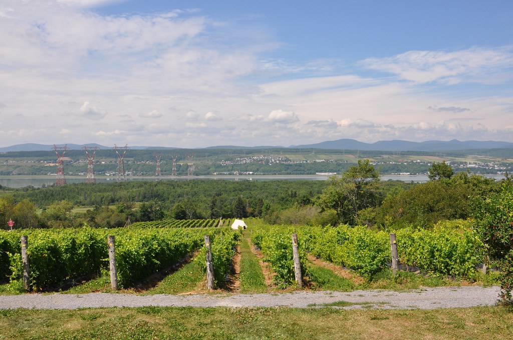 Vinerie Wine tasting Ile d'Orleans (QC) Ansa25&Vale Flickr