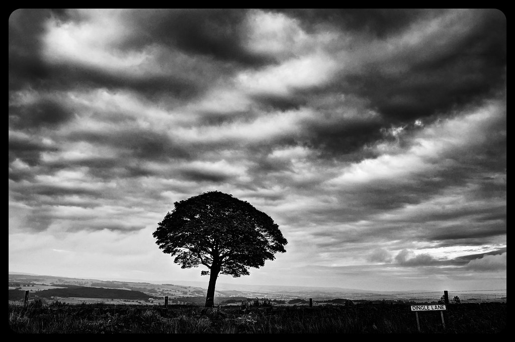 _MLF5100_1_2_ Biddulph Moor, Staffs GREG WOOLLISCROFT Flickr