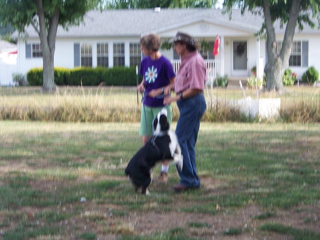 Erin & Joyce Norris Herding Ducks at Joyce Norris the (Duc… Flickr