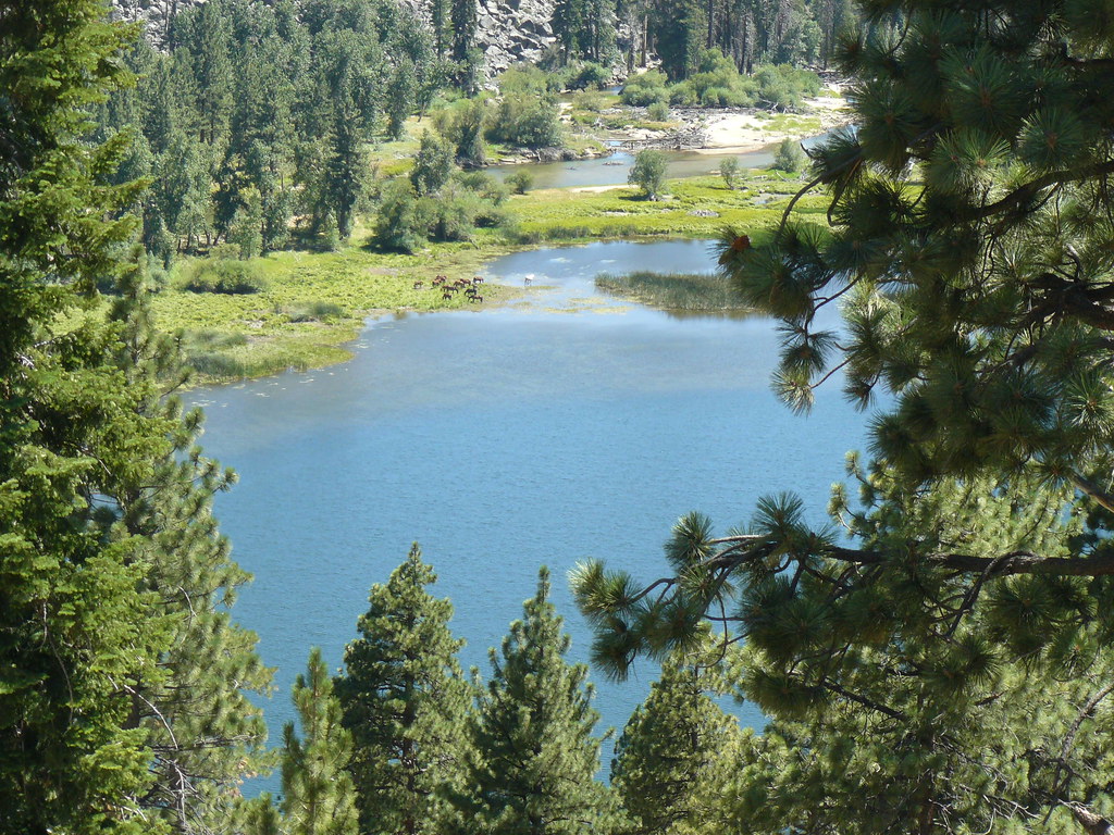 back to Little Kern Lake but just for a look, walked on by… Flickr