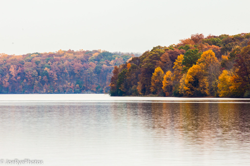 Lake Nockamixon 102320125628.jpg Joe Rajkowski Flickr