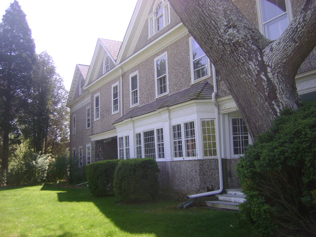 Flowers, Box Hill, Misc. April 2012 095 Box Hill mariewlsh Flickr