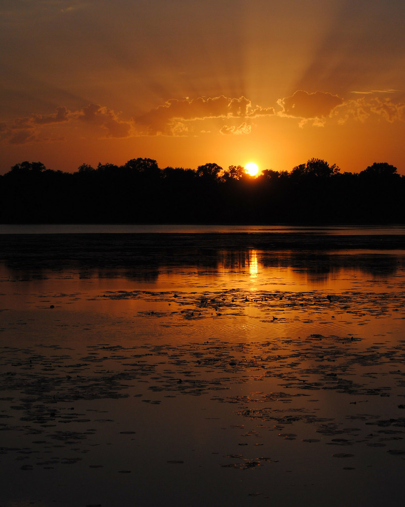 Lily Lake, Lakemoor, IL Sometimes you have a lot of choice… Flickr
