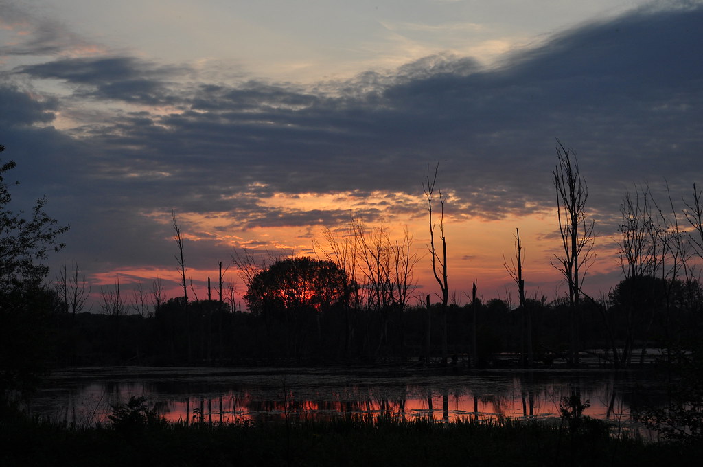 Fishlake Meadows, Romsey, Hampshire tim Flickr