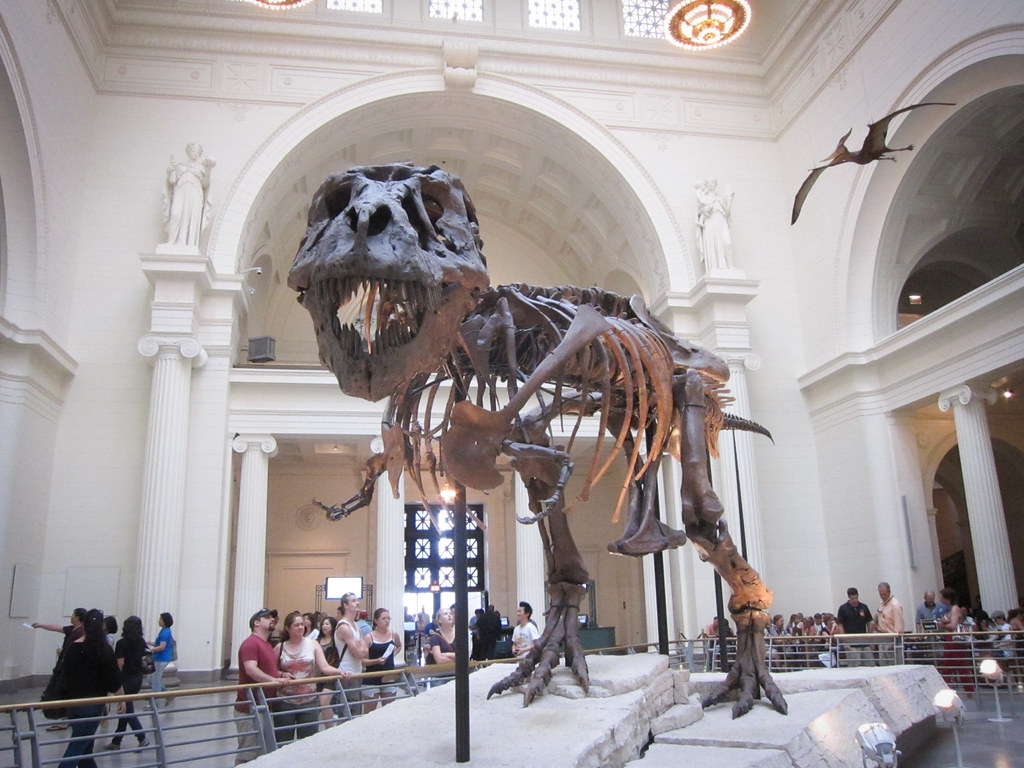 The Field Museum, Chicago This is Sue. Because of Sue, thi… Flickr